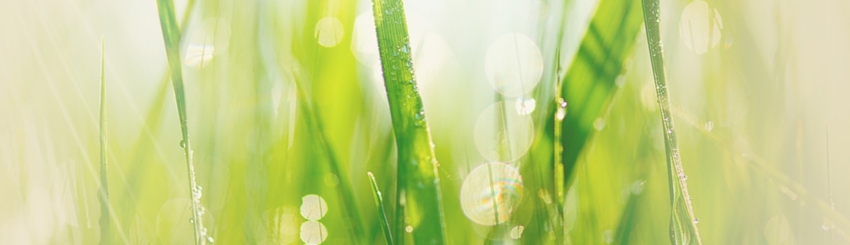 inenrbanner_business