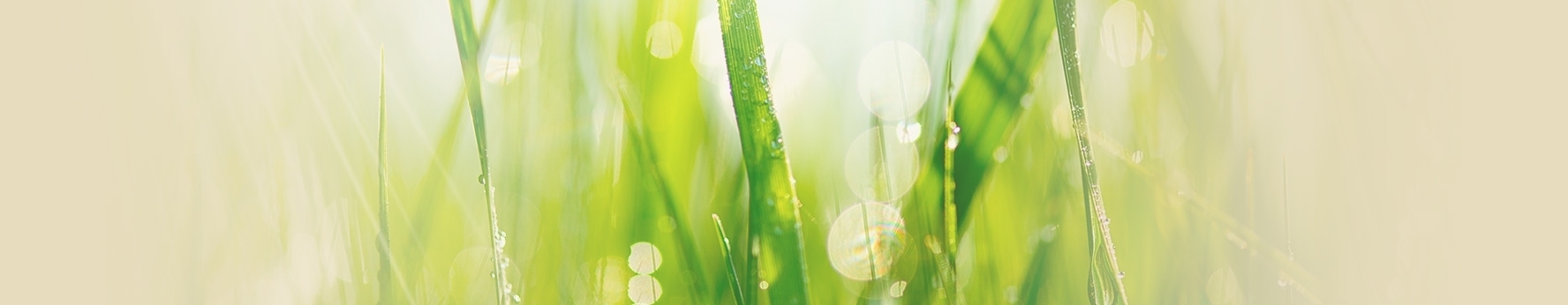 inenrbanner_business