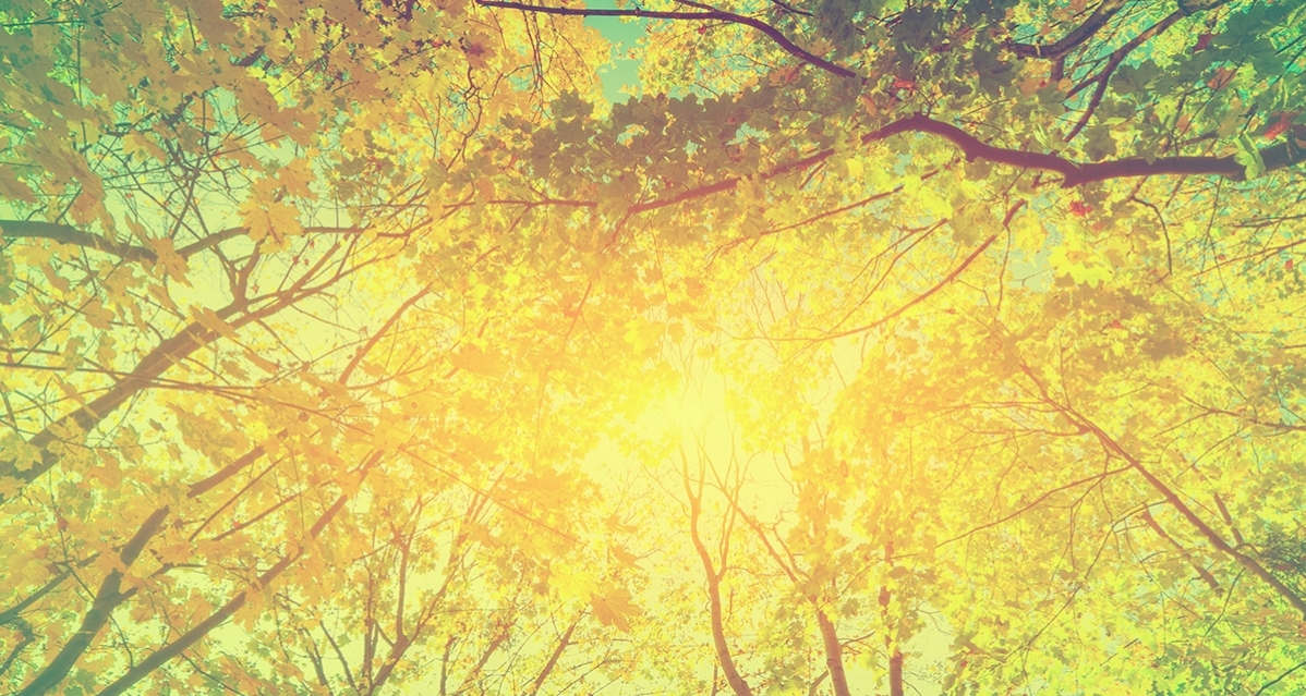 main_banner_1