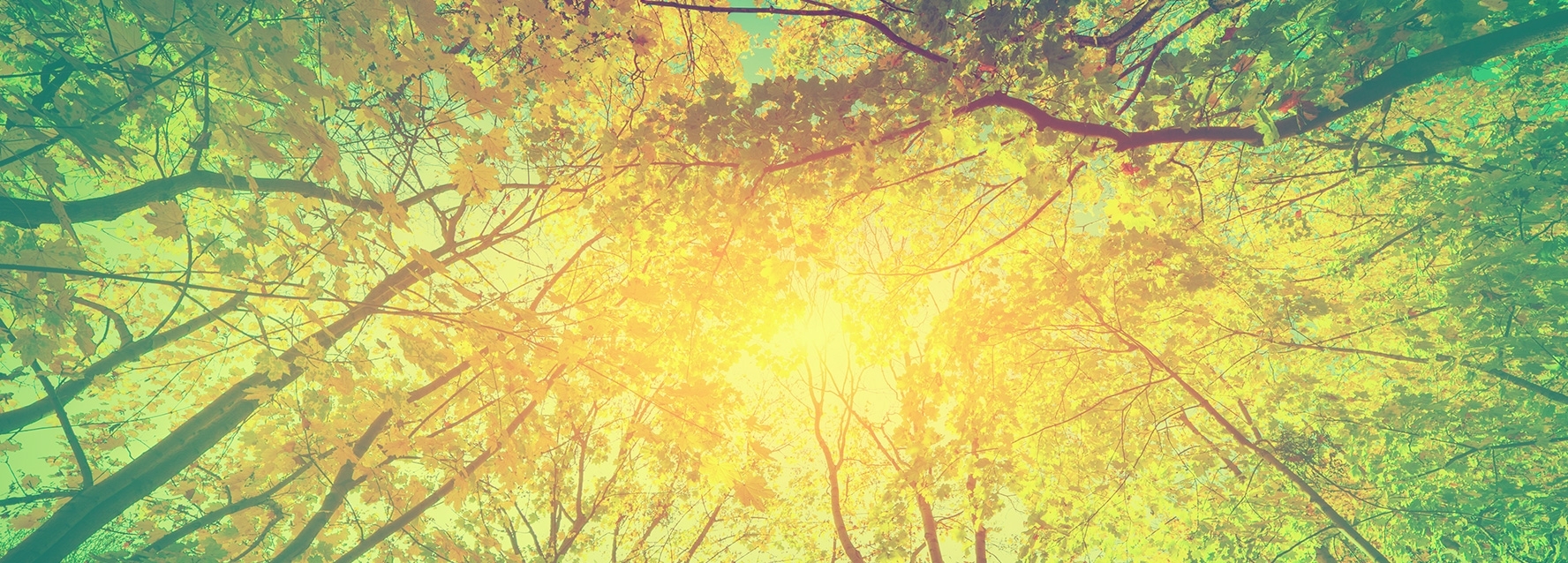 main_banner_1